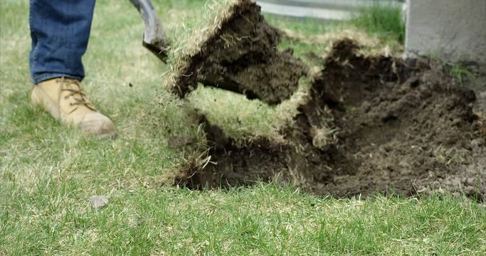 Man digging up sod grass to make rock garden - close up - side profile