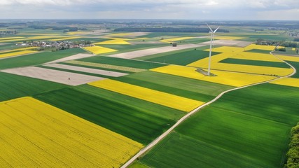 Aerial view of rapeseed fields with wind turbine, Poland