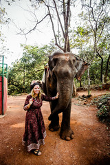 beautiful girl next to an elephant - 351182126