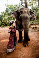 beautiful girl next to an elephant - 351182147