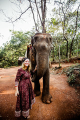 beautiful girl next to an elephant - 351182313