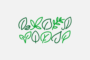 Obraz premium Leaf icons, thin line style