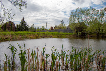 Fototapeta premium landscape with lake and trees