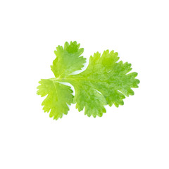 parsley isolated on white background