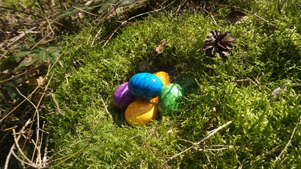 Easter Eggs in Nest