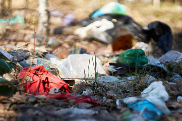 garbage lying in the forest. People pollute the environment. ecological problem