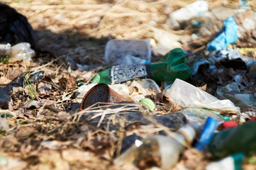 garbage lying in the forest. People pollute the environment. ecological problem