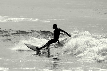 Surfer - obrazy, fototapety, plakaty