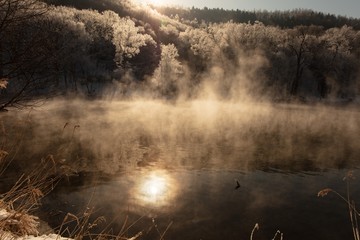 守り神の朝の巡回