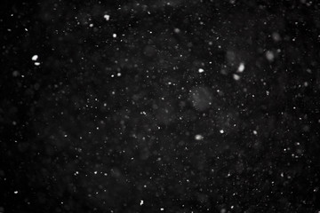Snowflakes on black background overlay