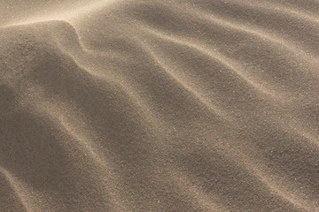 Fototapeta na wymiar Texture of beach sand as background