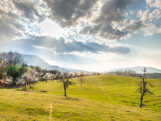 Landscape in the mountains