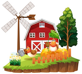 Chicken at the farm island