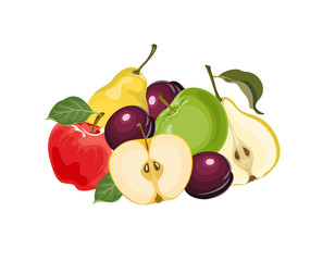 Heap of fresh fruits. Vector whole and half apple, pear and plum isolated on white background. Food illustration in cartoon flat style.