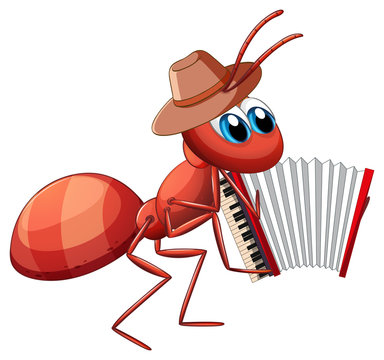 Mucian ant playing accordion