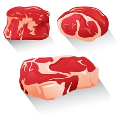 raw meat set