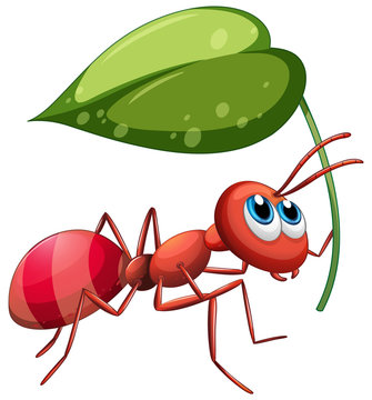 Ant holding green leaf