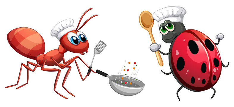 Insect chef cooking food