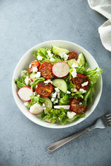 Healthy green salad with sun dried tomatoes, radish, cucumber and cheese