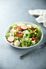 Healthy green salad with sun dried tomatoes, radish, cucumber and cheese