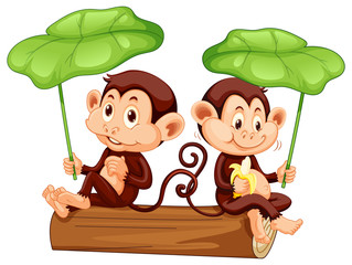 Two cute monkeys on the log with green leaves