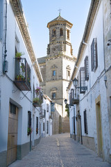 Fototapeta na wymiar Medieval street of Baeza with old University Tower, Jaen, Spain