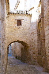 A street scene in the old part of the historic city of Baeza in Jaen, Spain
