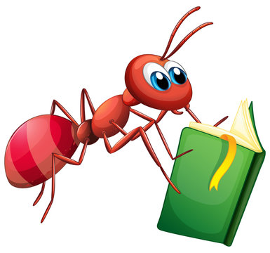 Ant reading book on white background