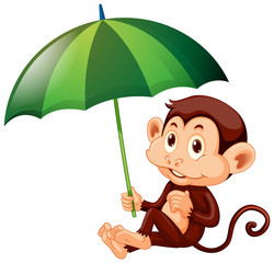 Cute monkey with green umbrella on white background