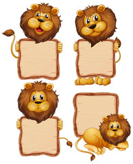 Board template with cute lion on white background