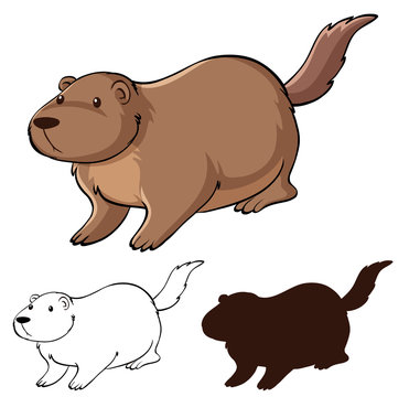 Set of beaver cartoon