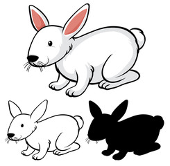 Set of rabbit cartoon