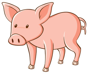 Cute little pig on white background