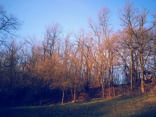 beautiful autumn colors into the forest