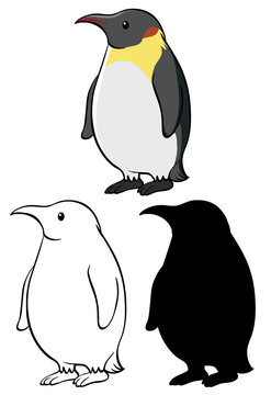 Set of penguin cartoon