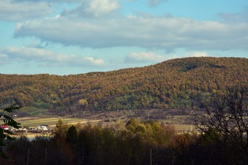 Obraz premium beautiful autumn colors into the forest