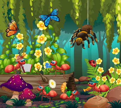 Insect in the fairy forest