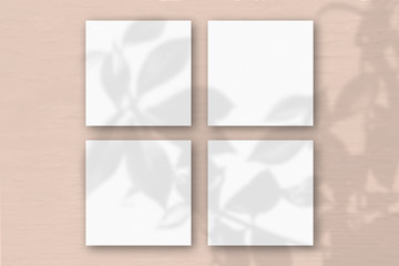 4 square sheets of white textured paper on the pink wall background. Mockup overlay with the plant shadows. Natural light casts shadows from an exotic plant. Flat lay, top view