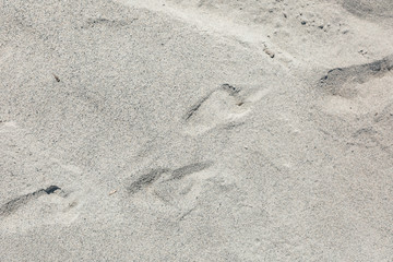 Baby footprints in the sand.