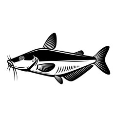 Illustration of catfish in engraving style. Design element for logo, label, sign, poster, t shirt. Vector illustration