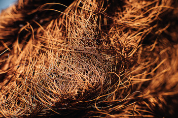 Copper scrap metal, wire, windings of motors and transformers, electrical wire without insulation. Against the background of a copper sheet. Close-up. Macro.
