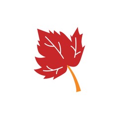 maple leaf