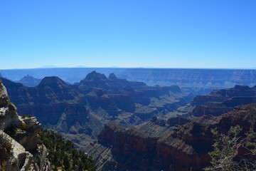 Fototapeta na wymiar Grand Canyon - North Rim - USA