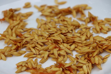 Seeds of musk melon on white plate