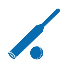 Cricket bat and ball