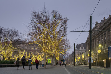 Fototapeta na wymiar Christmas illuminated trees next to Budapest parliament