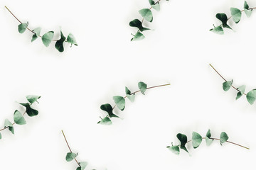 Photo on aromatherapy and mental health. Sprigs of eucalyptus on isolated white background.