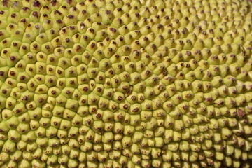 Jack fruit thorn shell as background or texture