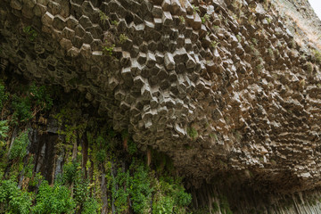 Low angle on basaltic lava columns. Moss growing on hexagonal petrified magma formations