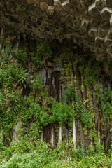 Rock covered with green plants. From below of rough mountain from volcanic basalt with moss and plants